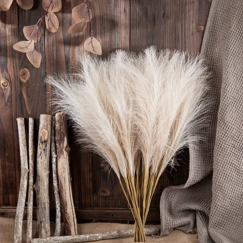 Fleurs Pampas Naturelles – Décoration Zen